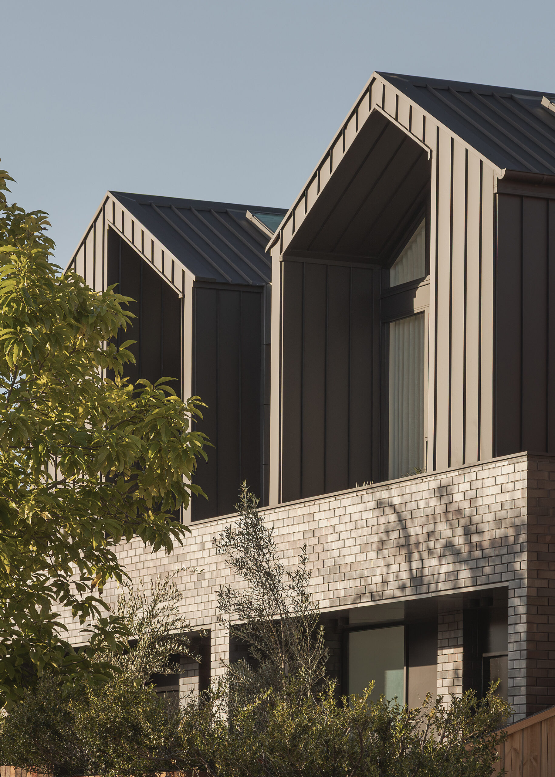 0T6A7060-Enhanced-NR copy 2